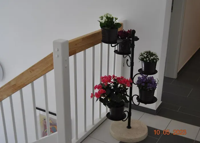 Zimmervermietung بيت ضيافة